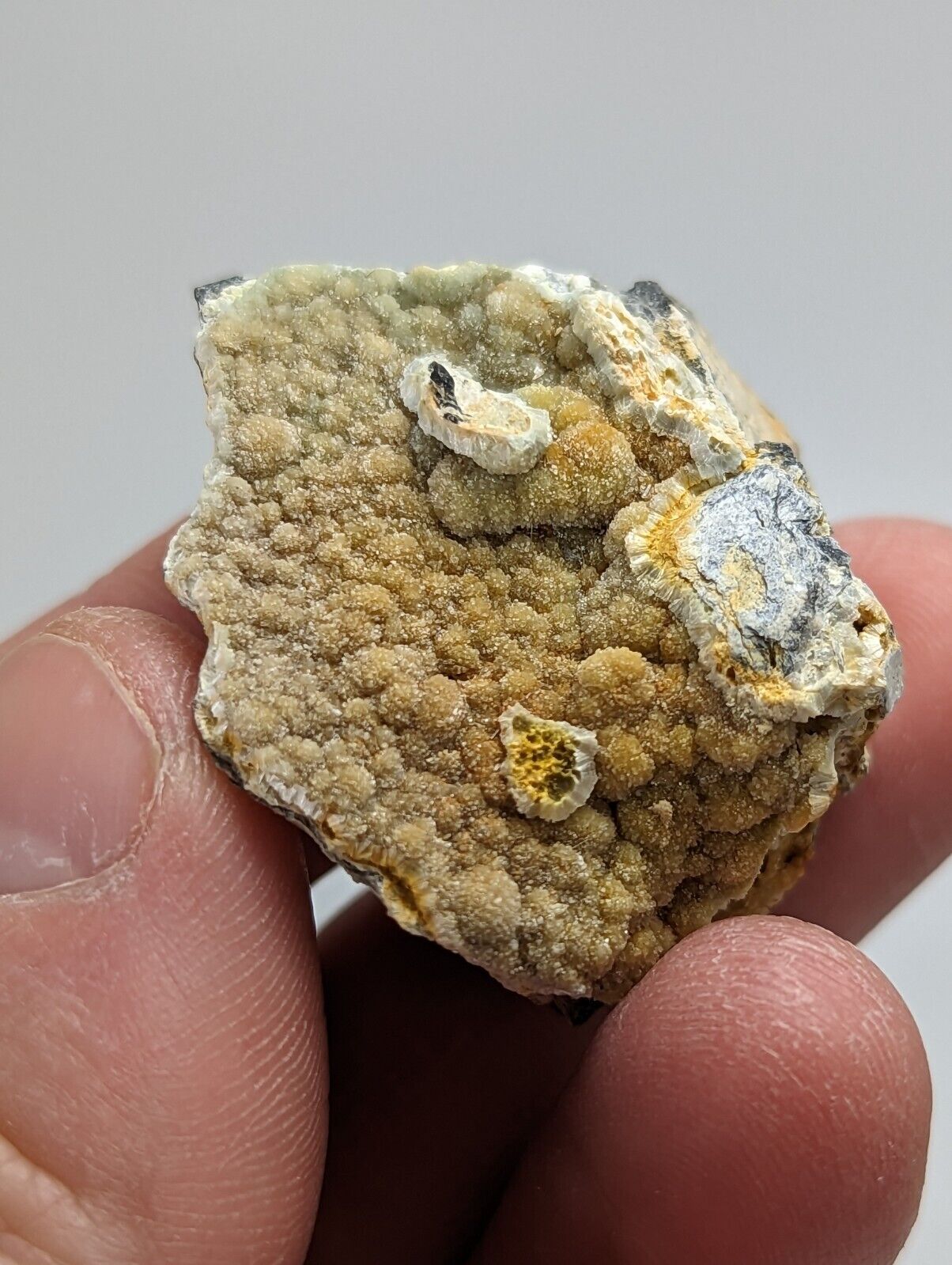 Unique Iron-included Wavellite -Old Stock - Mauldin Mountain Arkansas - Collectibles:Rocks Fossils & Minerals:Crystals