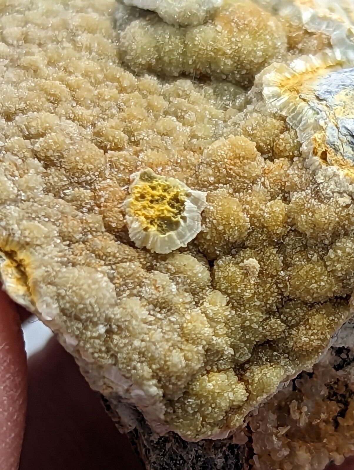 Unique Iron-included Wavellite -Old Stock - Mauldin Mountain Arkansas - Collectibles:Rocks Fossils & Minerals:Crystals