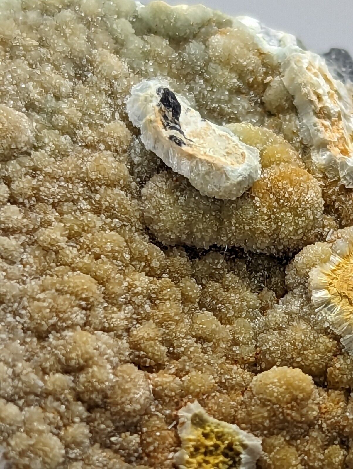 Unique Iron-included Wavellite -Old Stock - Mauldin Mountain Arkansas - Collectibles:Rocks Fossils & Minerals:Crystals