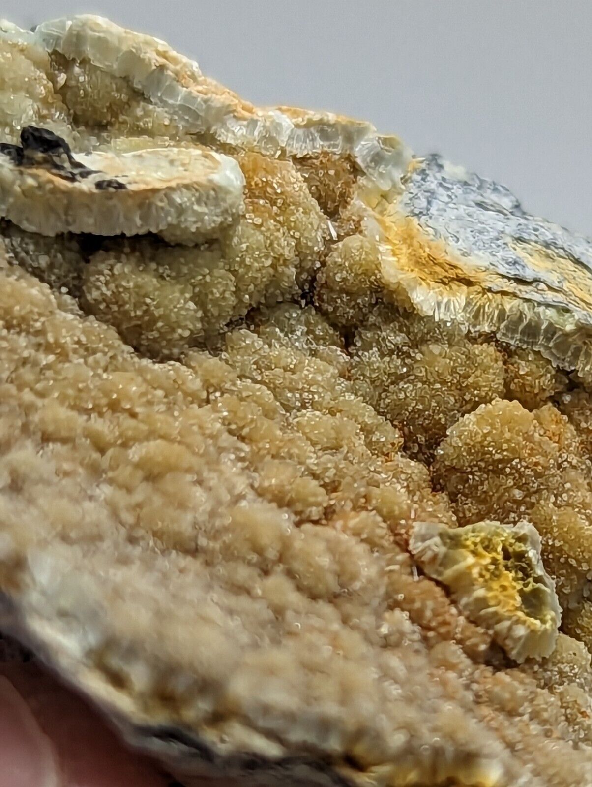Unique Iron-included Wavellite -Old Stock - Mauldin Mountain Arkansas - Collectibles:Rocks Fossils & Minerals:Crystals