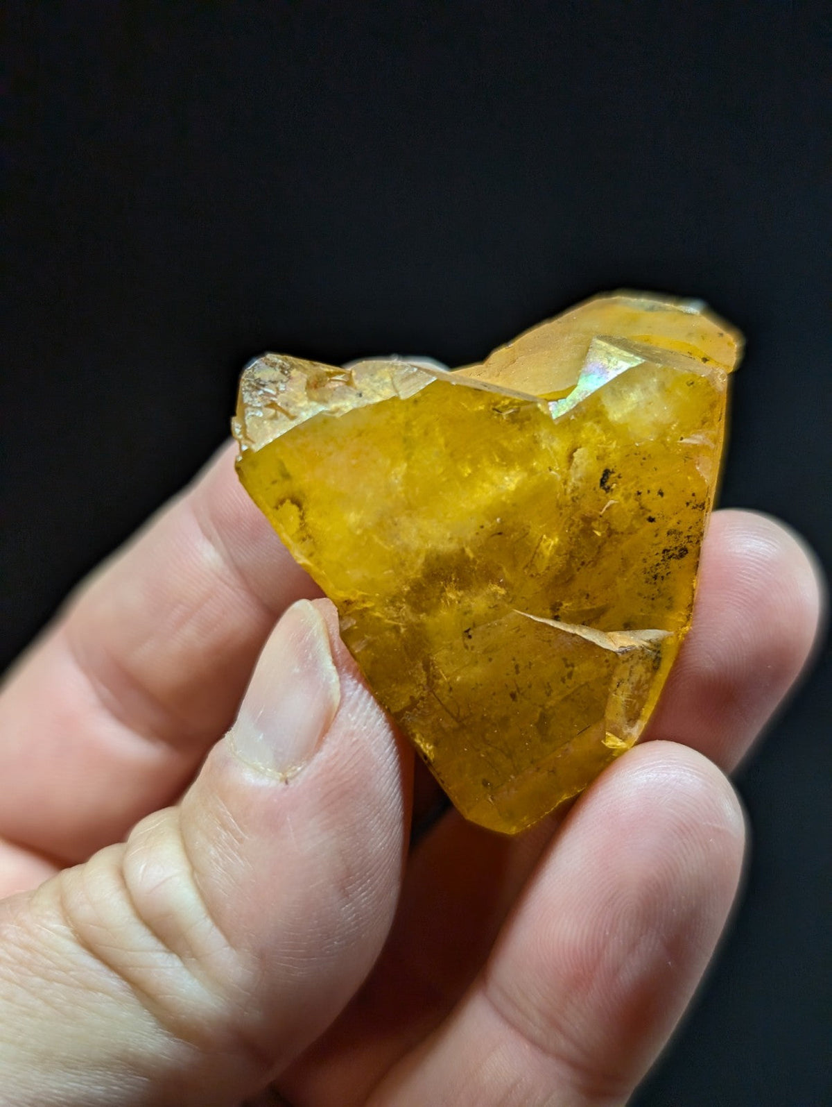 A translucent golden-yellow amber specimen with natural inclusions and a faceted, irregular surface.