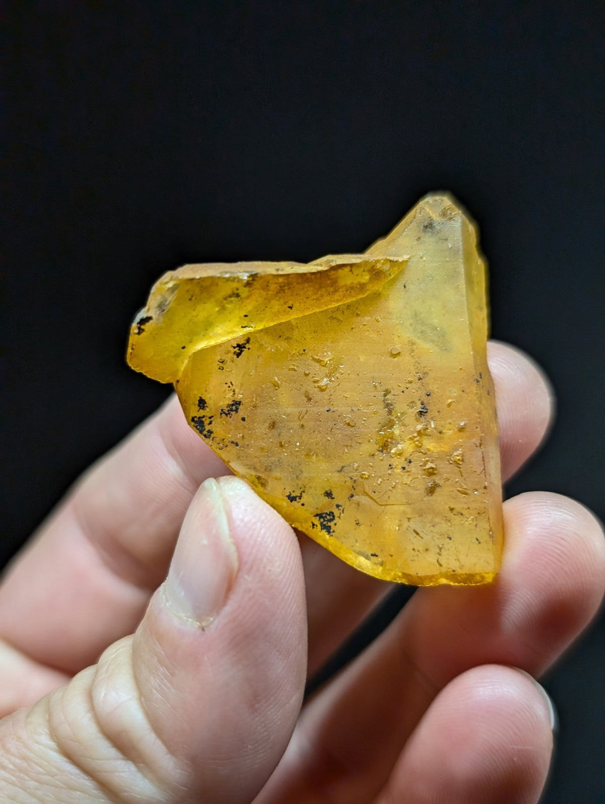 A translucent amber-colored fossilized resin fragment with embedded dark inclusions, held gently between fingers.