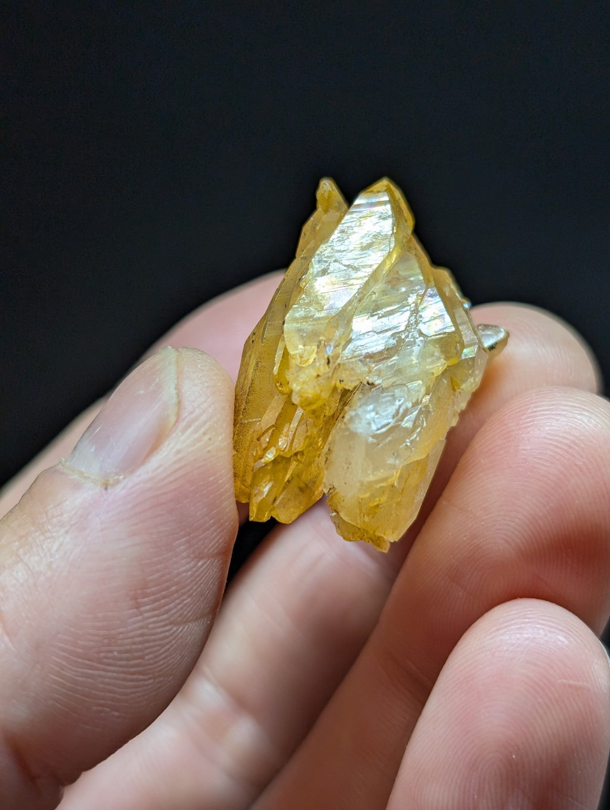 A translucent golden-yellow crystal cluster with sharp, faceted edges and a glossy surface.