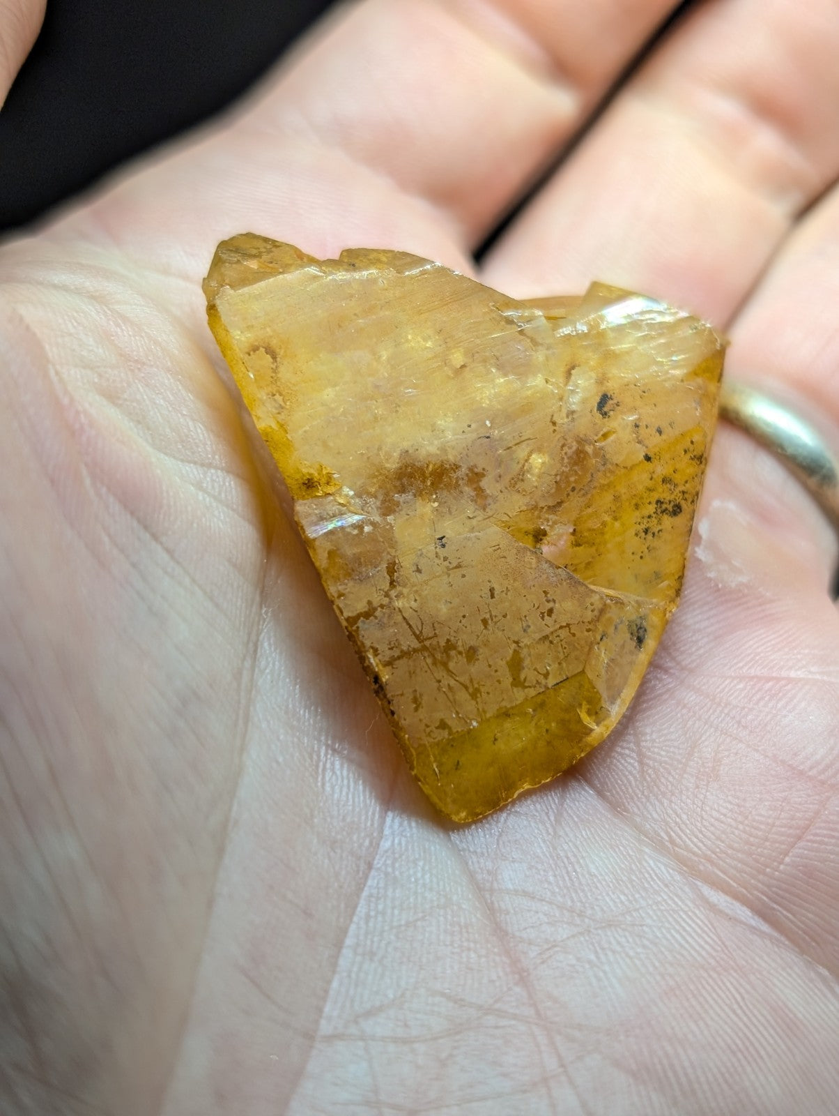 A translucent amber-colored, irregularly shaped piece of fossilized resin with visible internal inclusions and a slightly rough, natural edge.