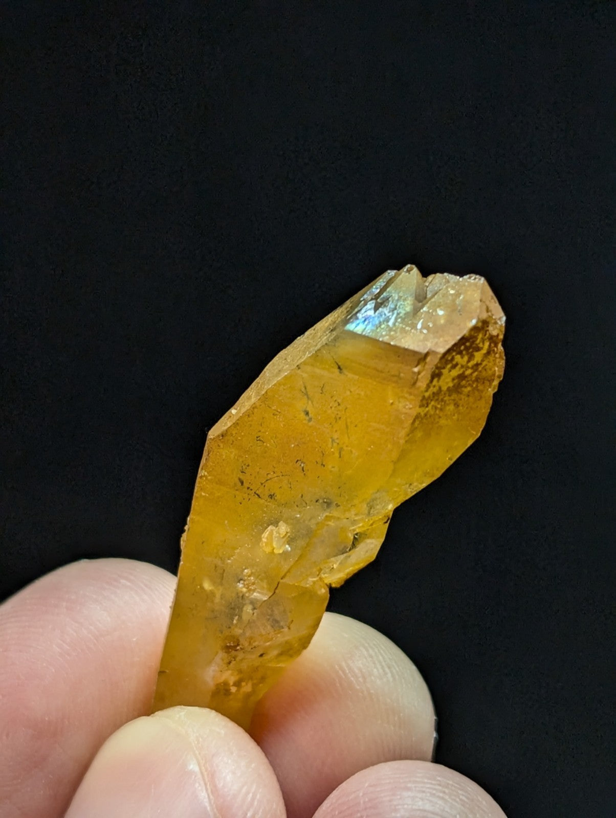 A translucent golden-yellow crystal with a faceted, pointed tip and subtle iridescent flashes.