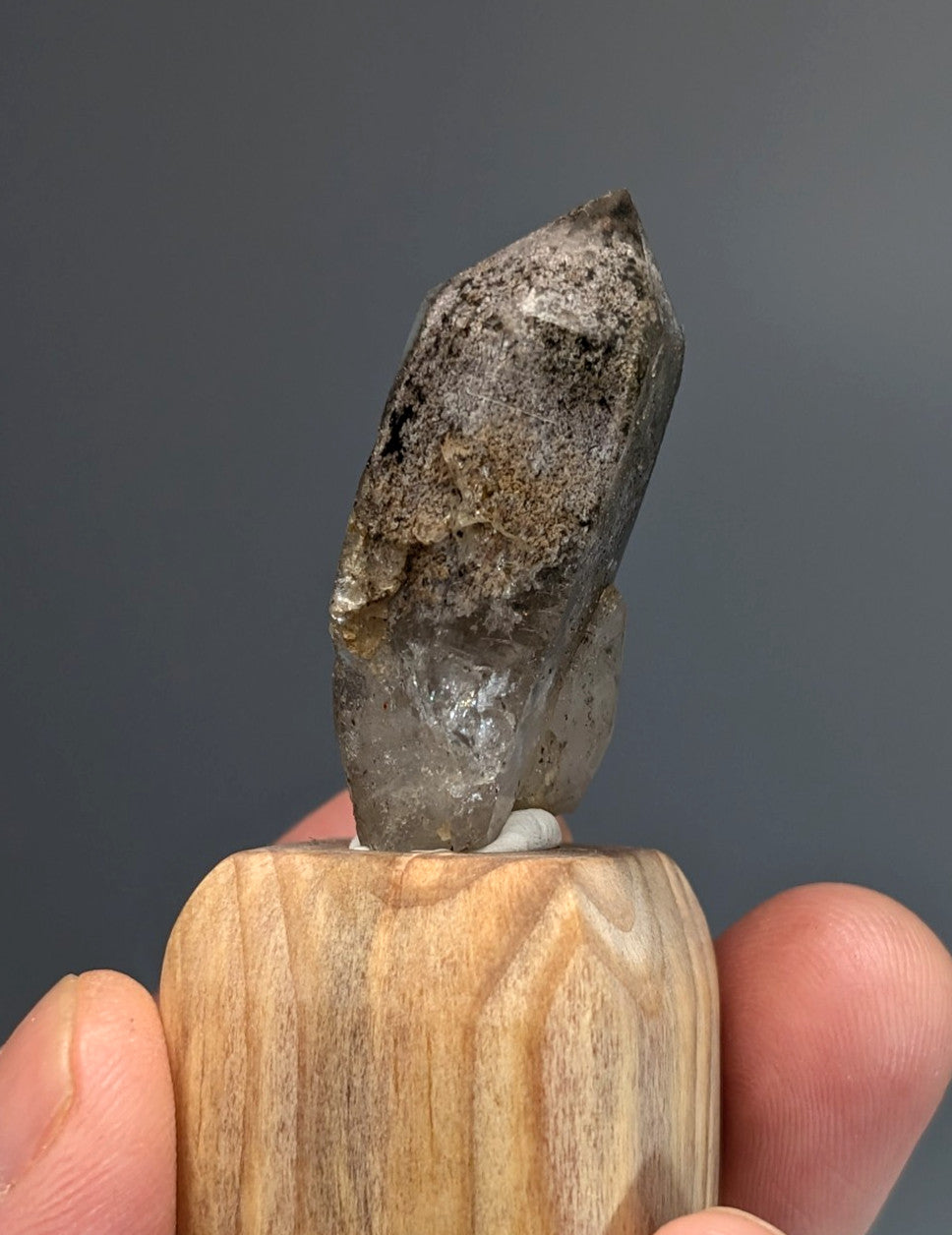 Unique phantom quartz translucent gray crystal with speckled surface on custom light wood mount from Garland County Arkansas