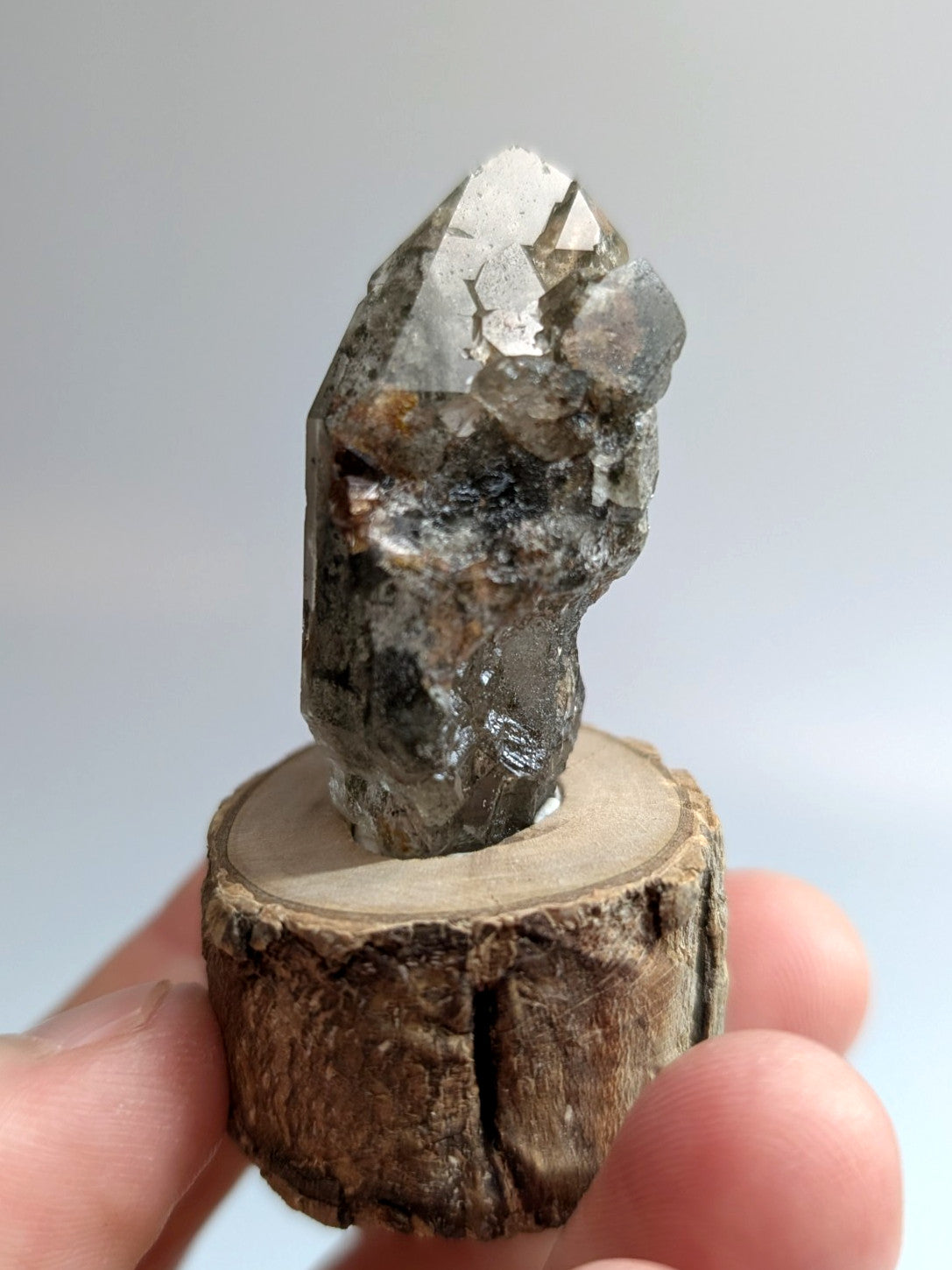 A polished, translucent gray crystal with metallic inclusions and a pointed tip sits atop a rustic wooden slice.