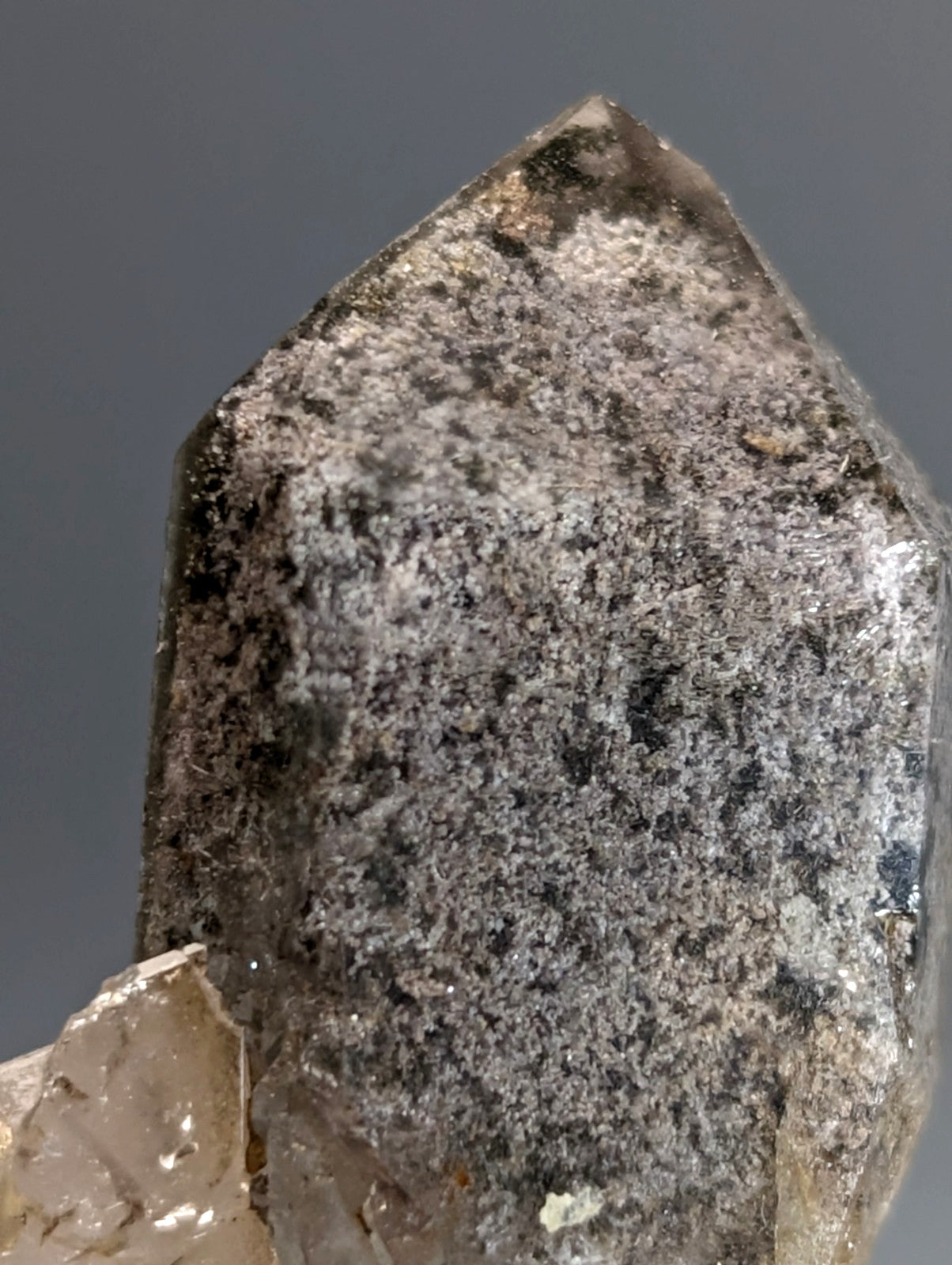 A translucent grayish phantom quartz crystal with a rough speckled surface and pointed tip on custom wood mount