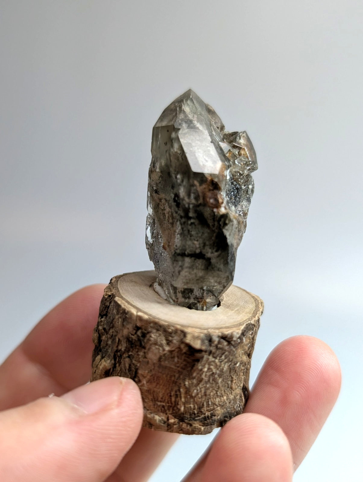 A translucent gray crystal with sharp facets and natural inclusions, mounted on a rustic wooden slice.