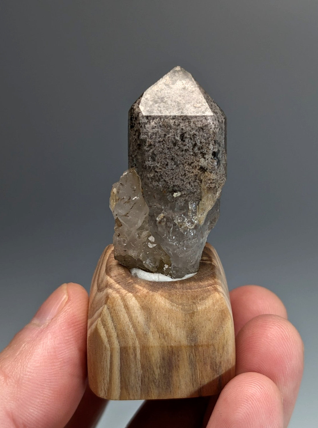 A polished gray phantom quartz crystal with a pointed tip on a custom wooden display stand from Arkansas