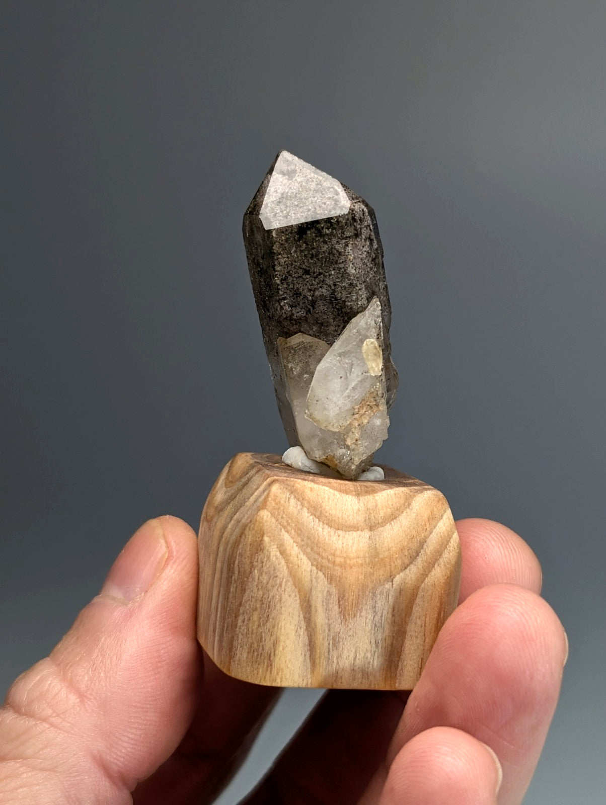 A unique phantom quartz crystal with dark speckles and translucent white quartz facets on a polished wood display stand