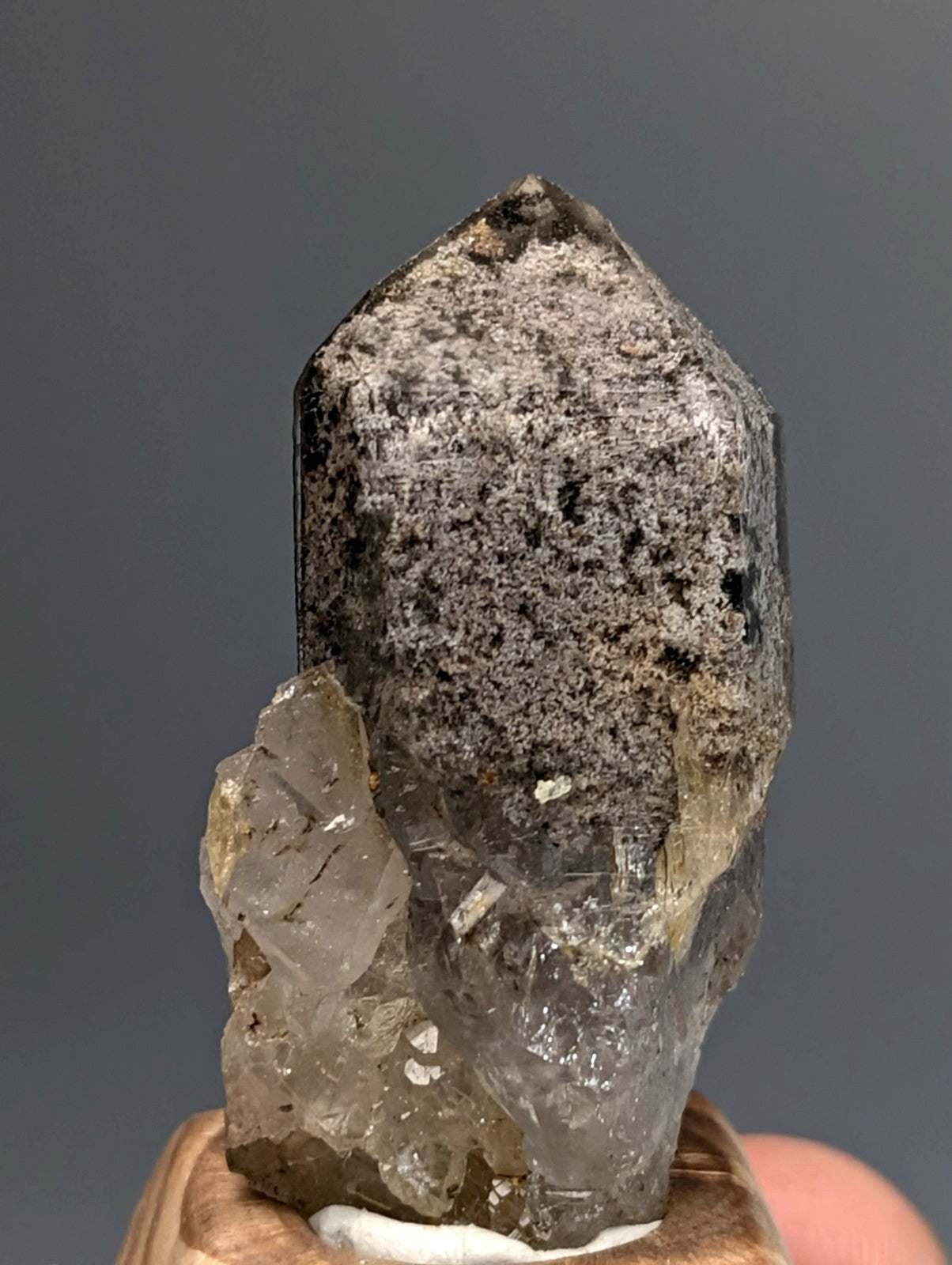 Unique phantom quartz crystal with translucent gray and rough speckled surface on custom wood mount from Arkansas