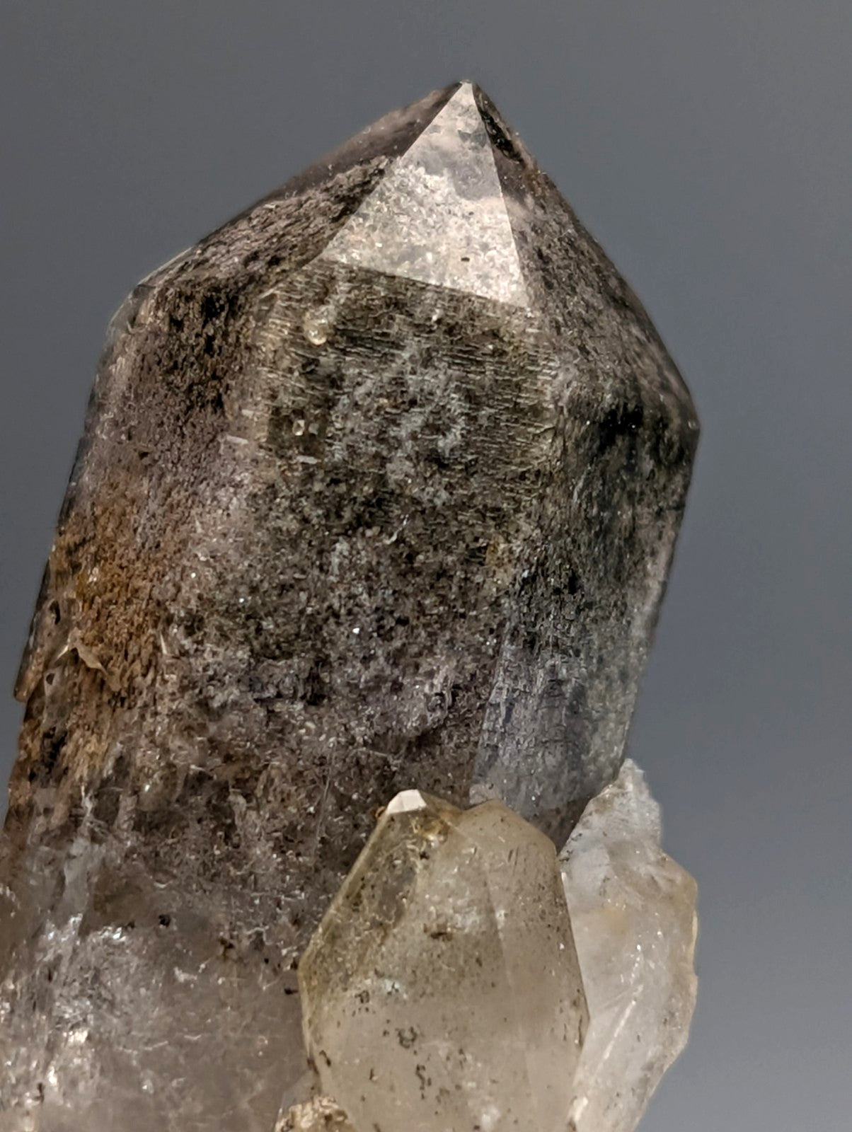 A dark translucent phantom quartz crystal cluster with pointed tip and speckled surface on custom wood mount from garland county arkansas