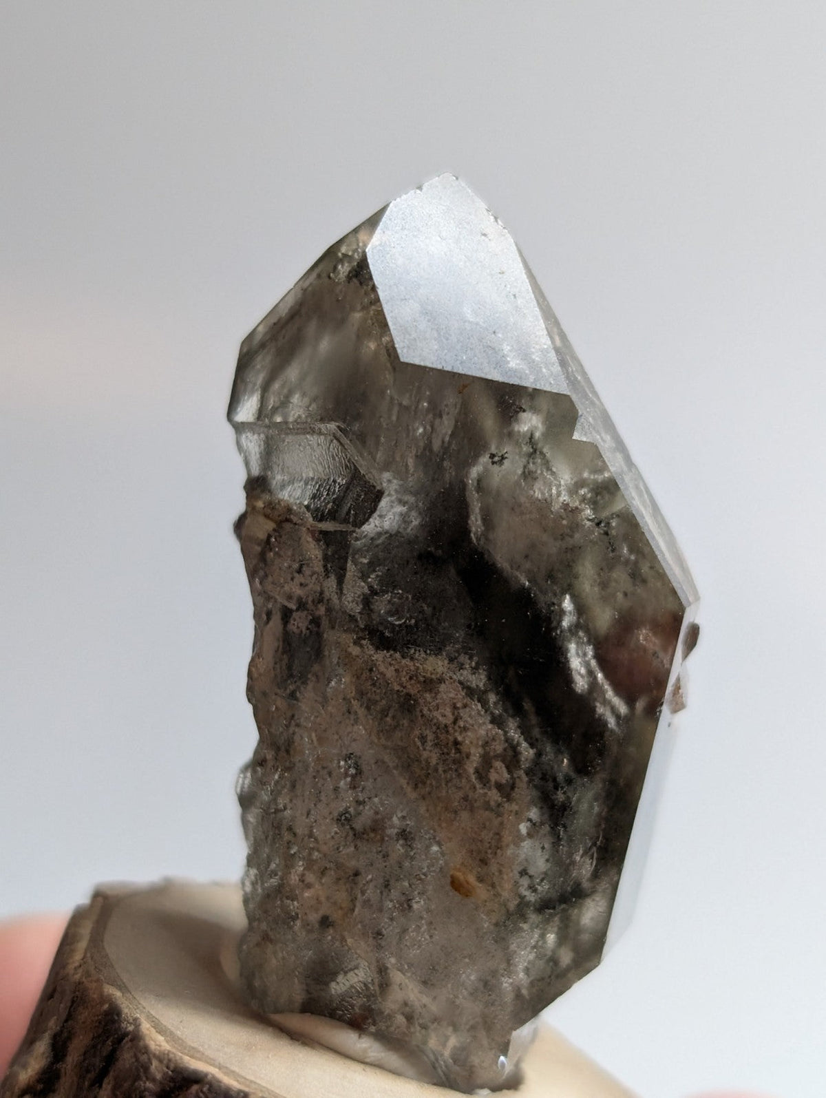 A dark, translucent smoky quartz crystal with a pointed tip and rough, earthy base.