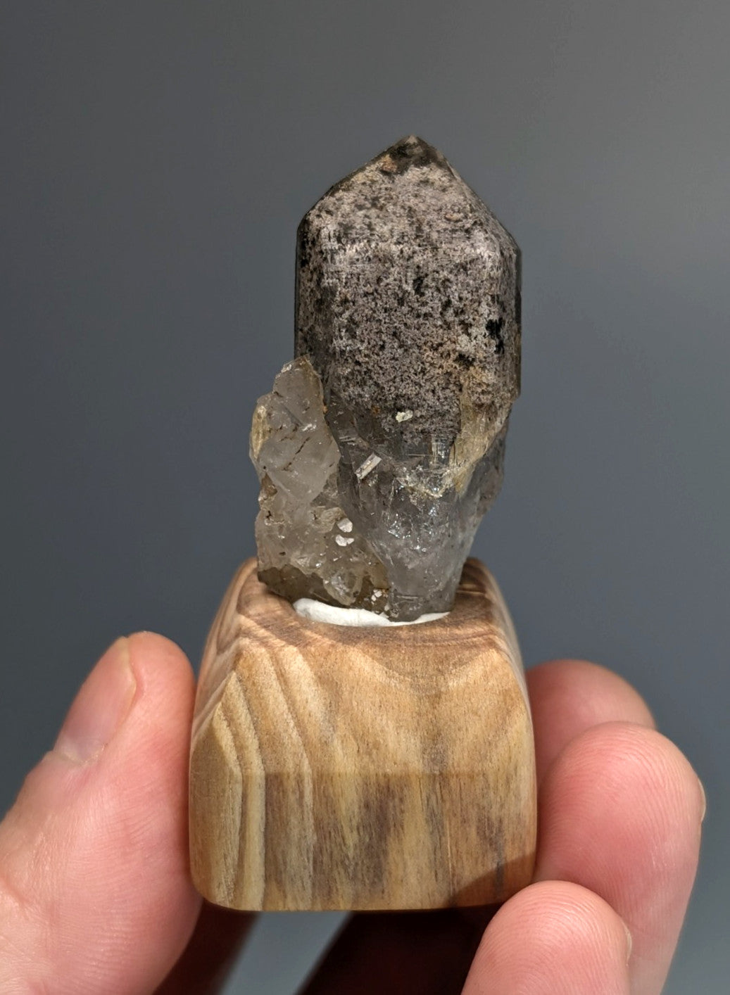 Unique phantom quartz dark gray speckled crystal with translucent facets on custom light wood stand from garland county arkansas