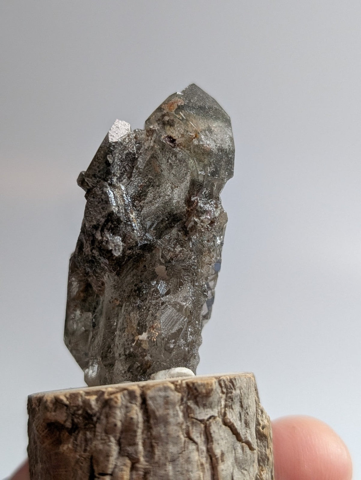 A dark, translucent quartz crystal with a rough, jagged surface and subtle internal striations.