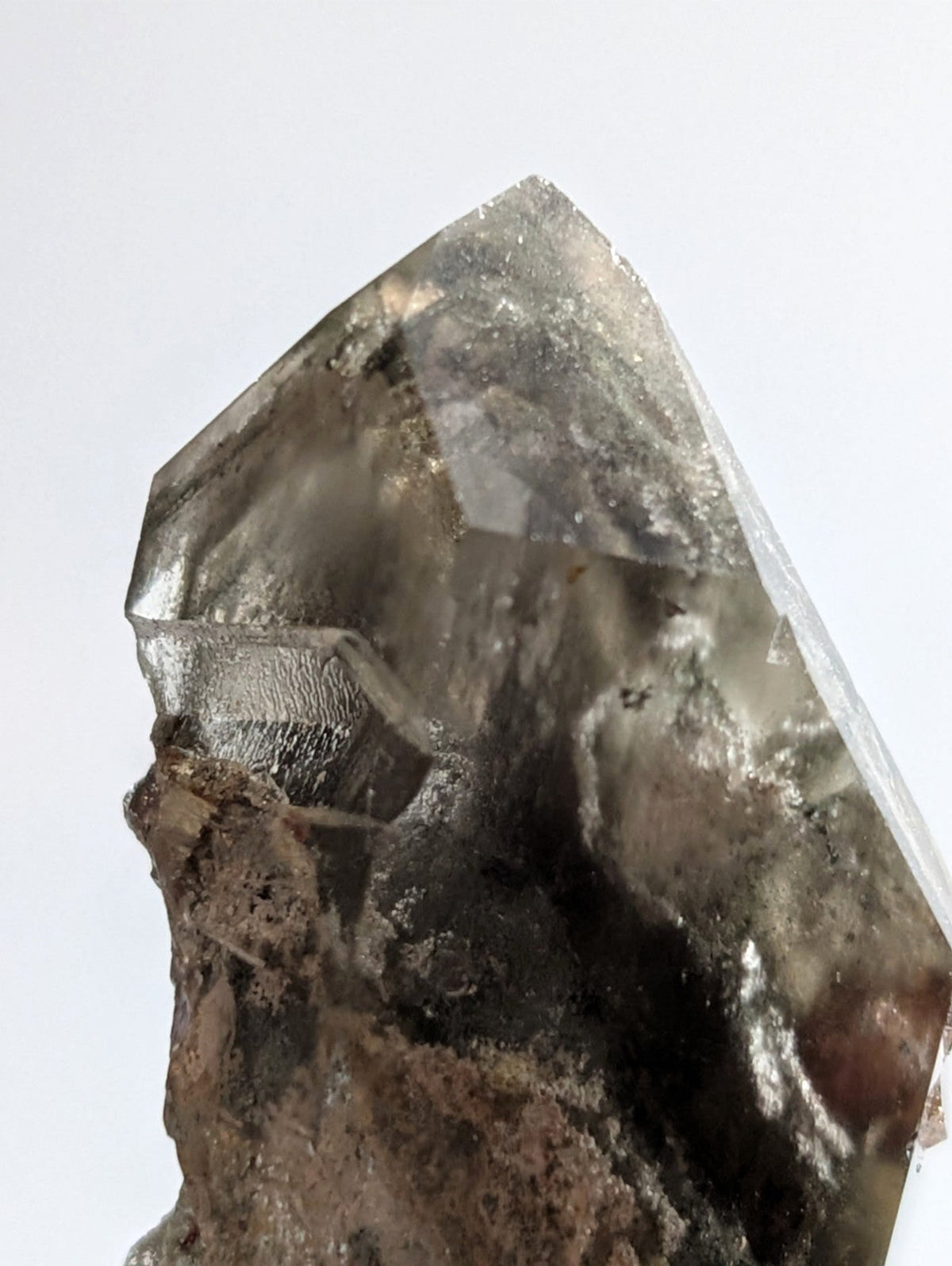 A translucent gray quartz crystal with a pointed tip and rough, earthy base.