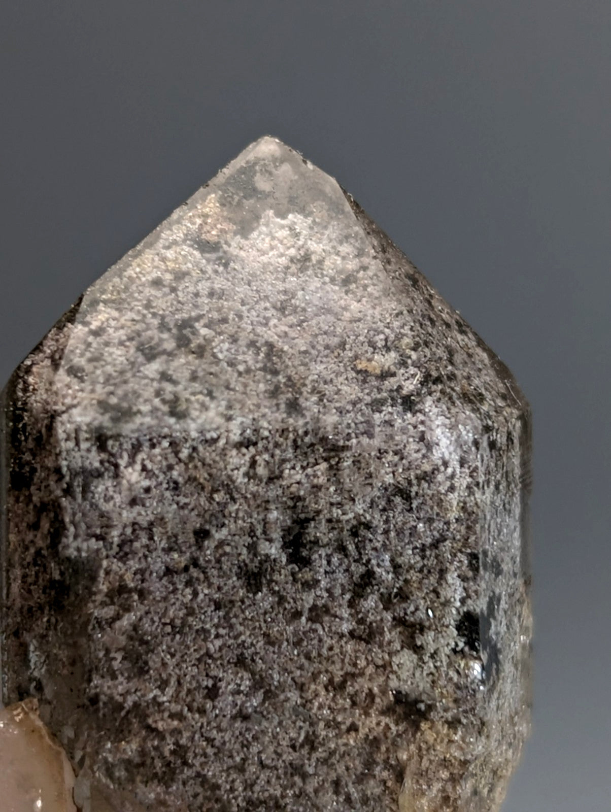 A translucent faceted quartz crystal with speckled gray and white interior on a custom wood mount from Garland County Arkansas