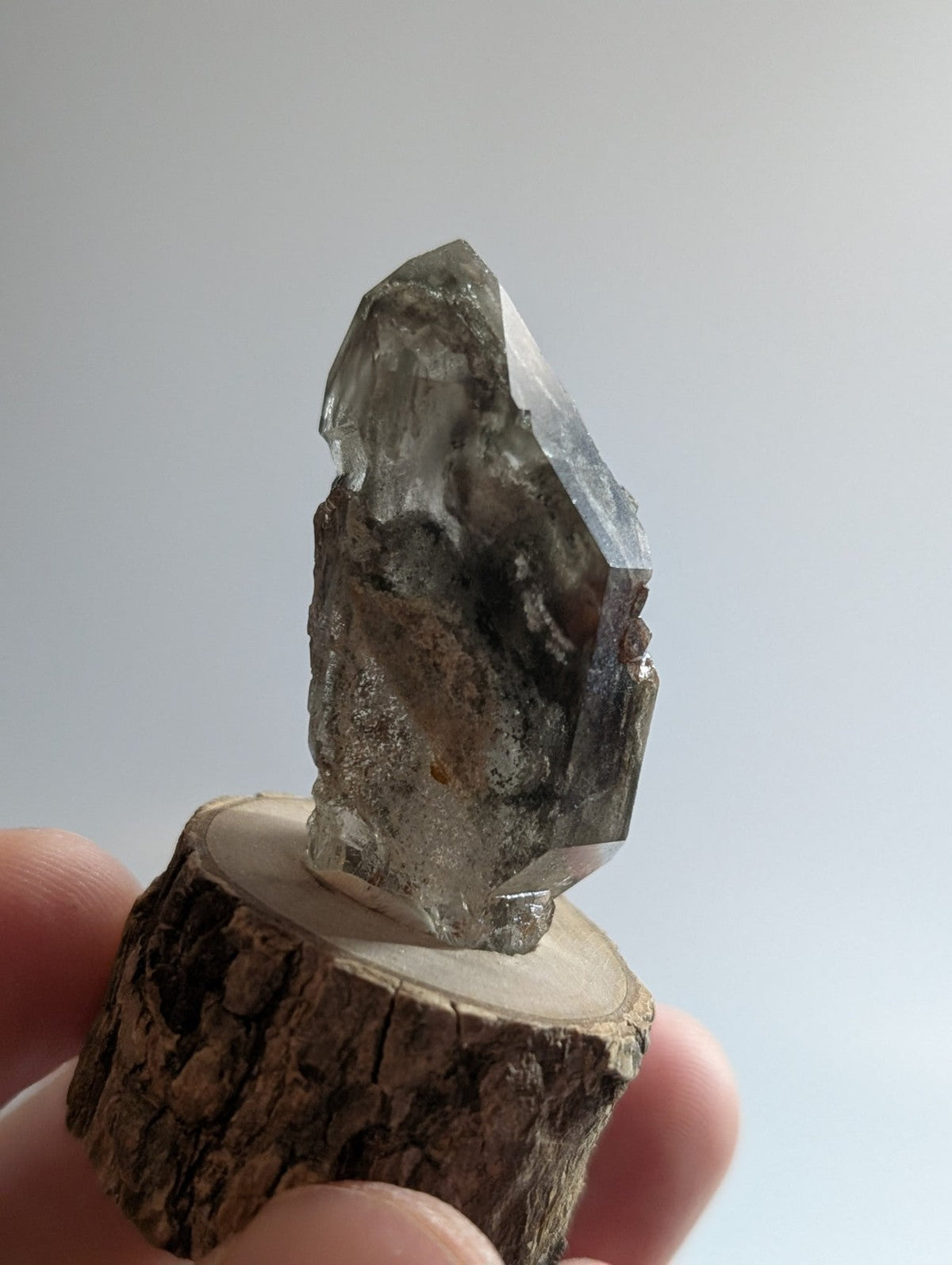 A translucent gray quartz crystal with a pointed, faceted top and dark inclusions sits upright on a rustic wooden slice.
