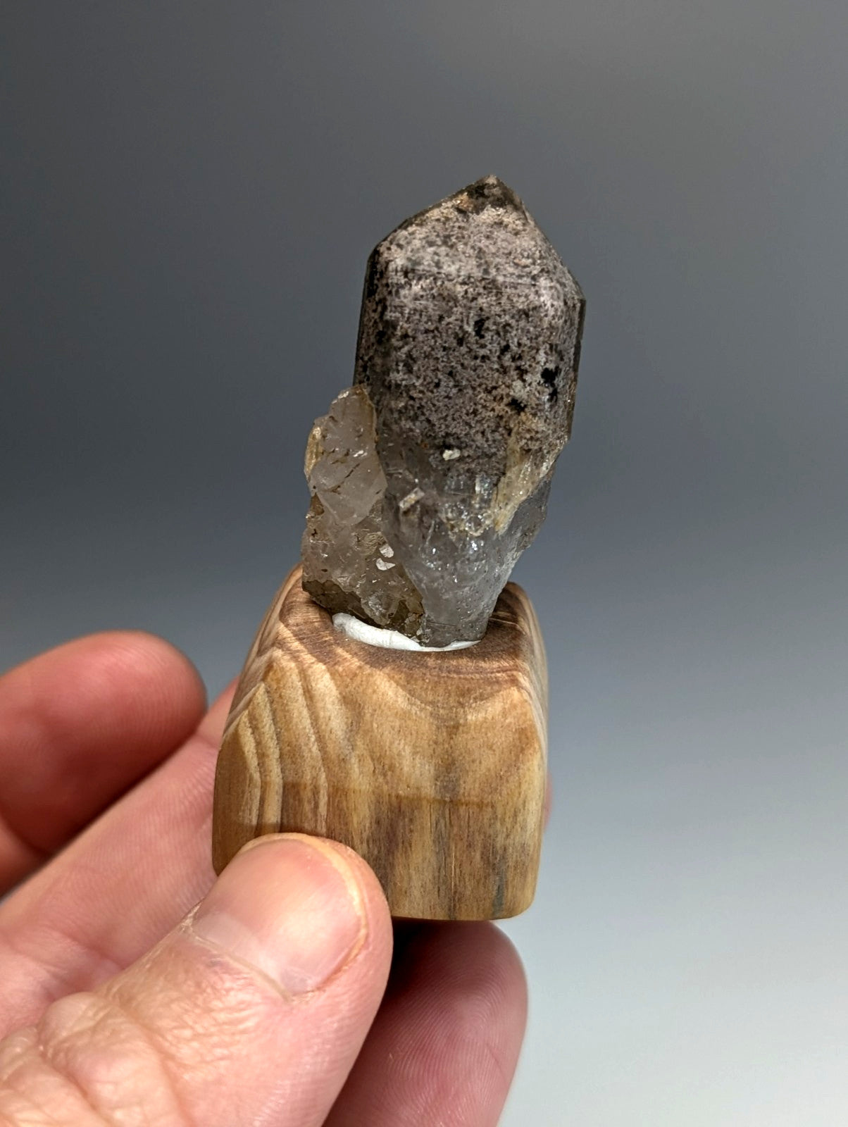 Unique phantom quartz polished gray crystal with rough top and translucent base on custom wood stand from arkansas