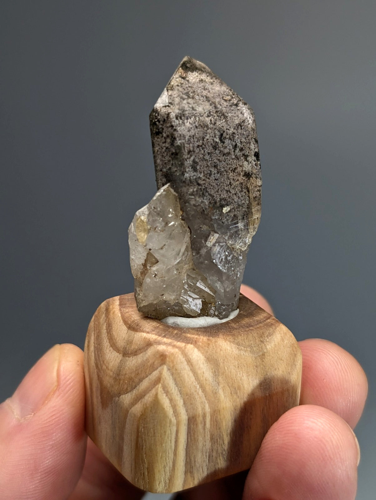 A polished wooden display stand holding a clear phantom quartz crystal with a dark speckled base from Arkansas