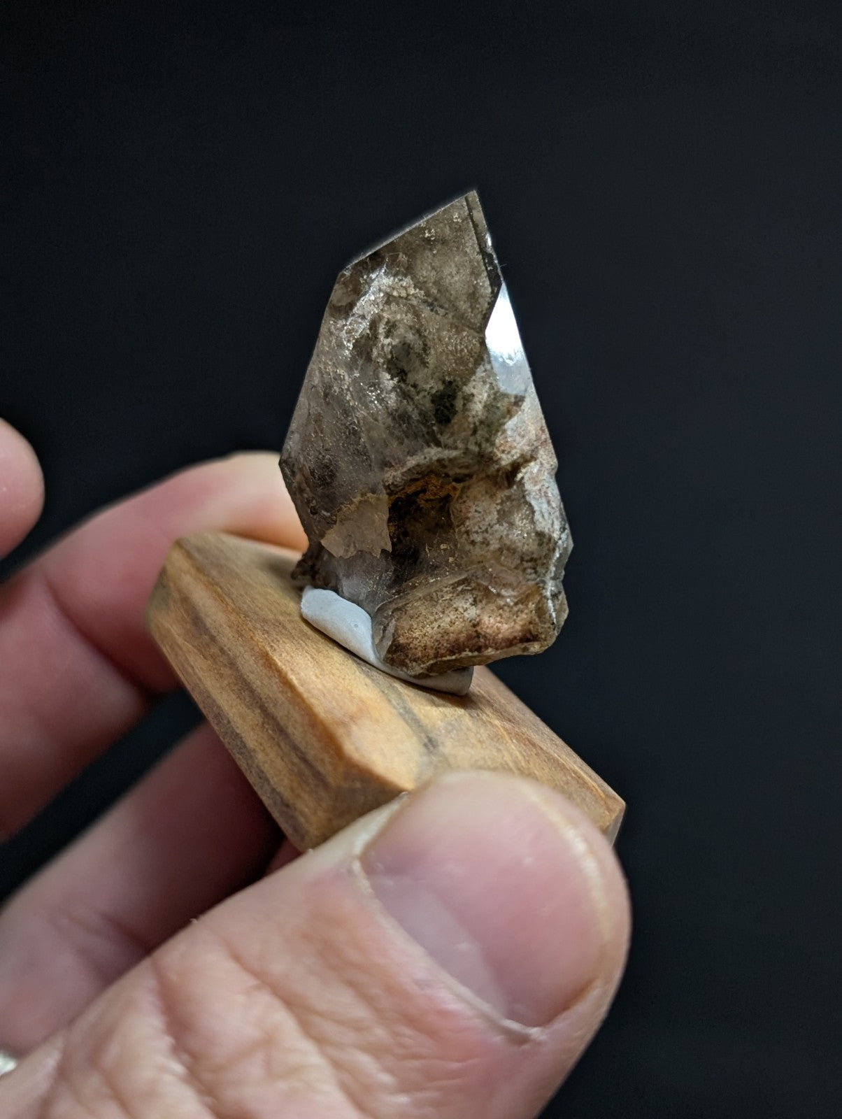 A translucent, brownish-gray quartz crystal with a pointed tip and visible internal inclusions is displayed on a small wooden stand.