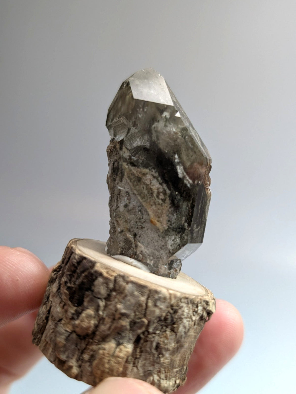 A dark, translucent quartz crystal with a pointed tip and visible internal inclusions is mounted on a rustic wooden base.