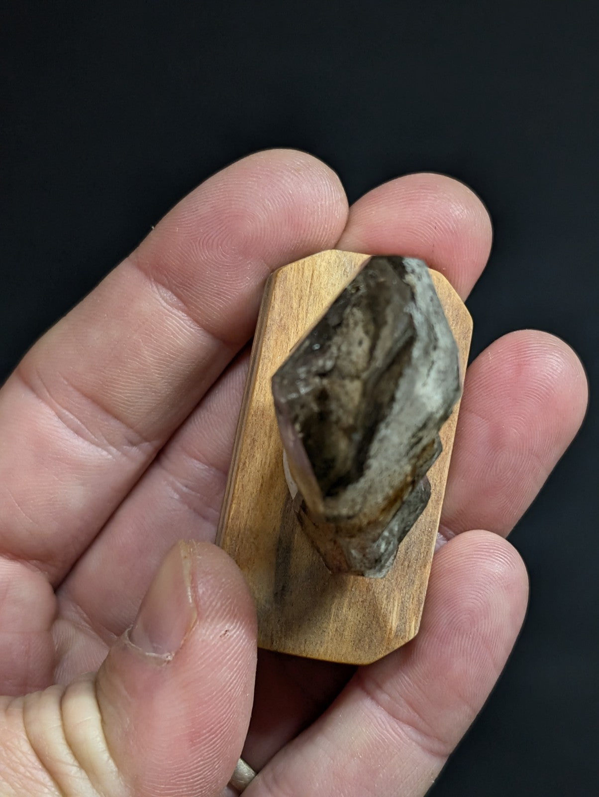 A polished, dark gray and brown mineral specimen with a crystalline structure mounted on a light wood display stand.