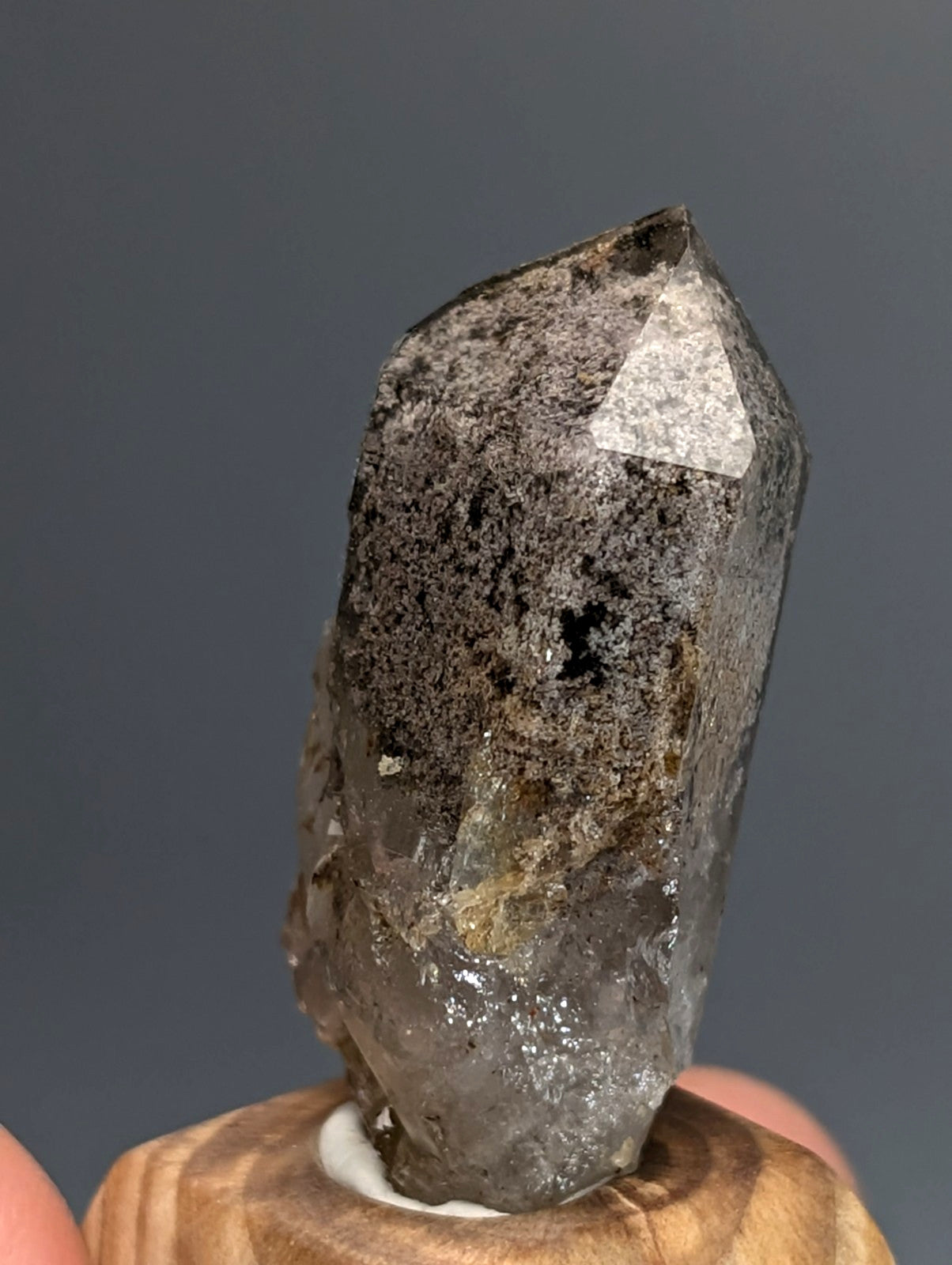 Unique phantom quartz translucent gray crystal with dark inclusions on custom wood mount from garland county arkansas
