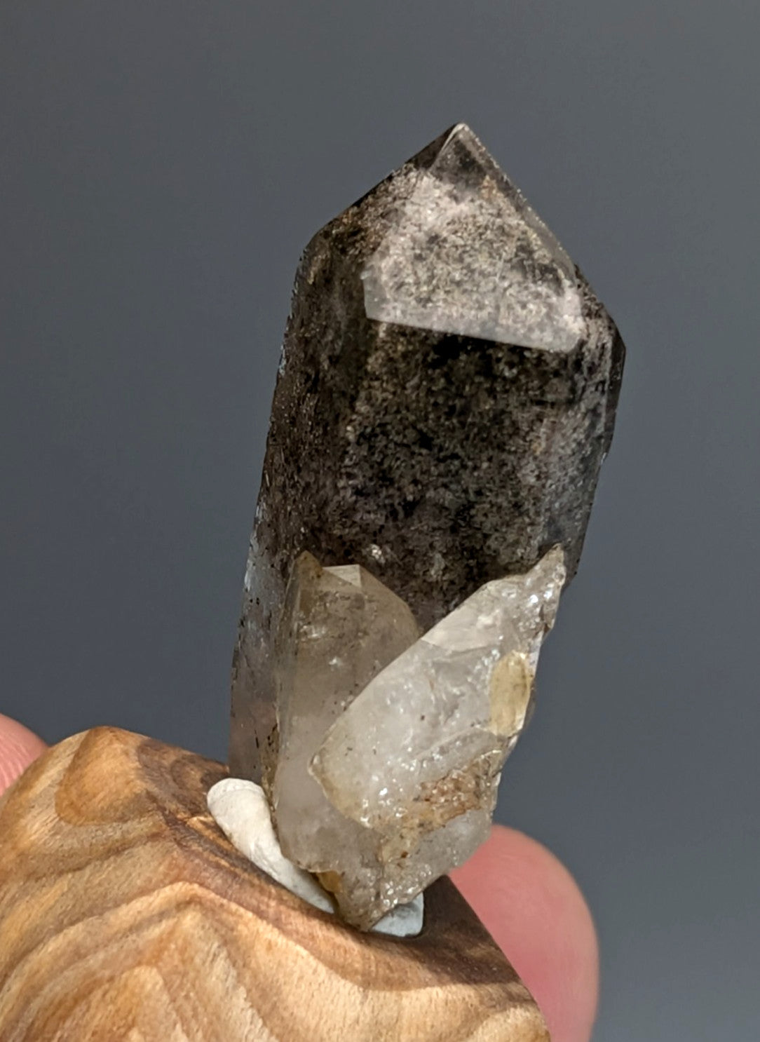 Unique phantom quartz dark translucent crystal with pointed tip and internal inclusions with custom wood mount from arkansas