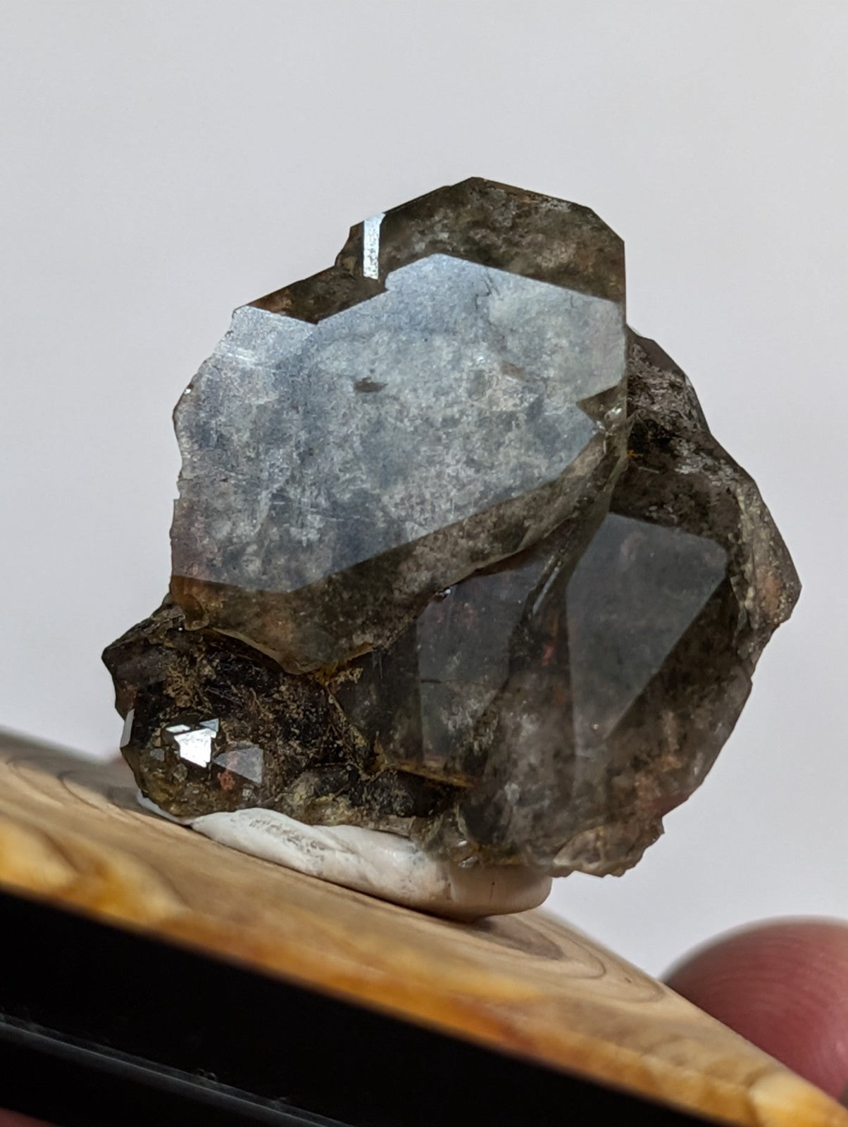 A dark, rough-textured mineral specimen with translucent gray crystals embedded in a darker matrix.