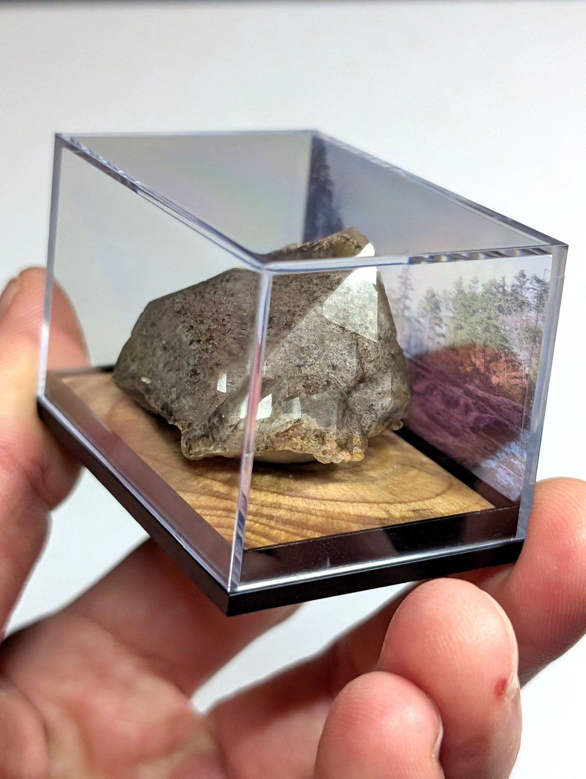 A gray, rough-textured rock specimen displayed in a clear acrylic display case with a wooden base.