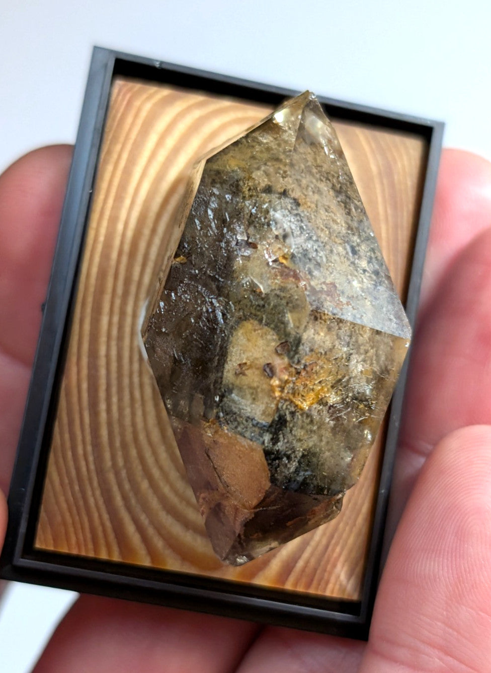 A translucent brown crystal with golden inclusions, displayed within a black-framed wooden showcase.