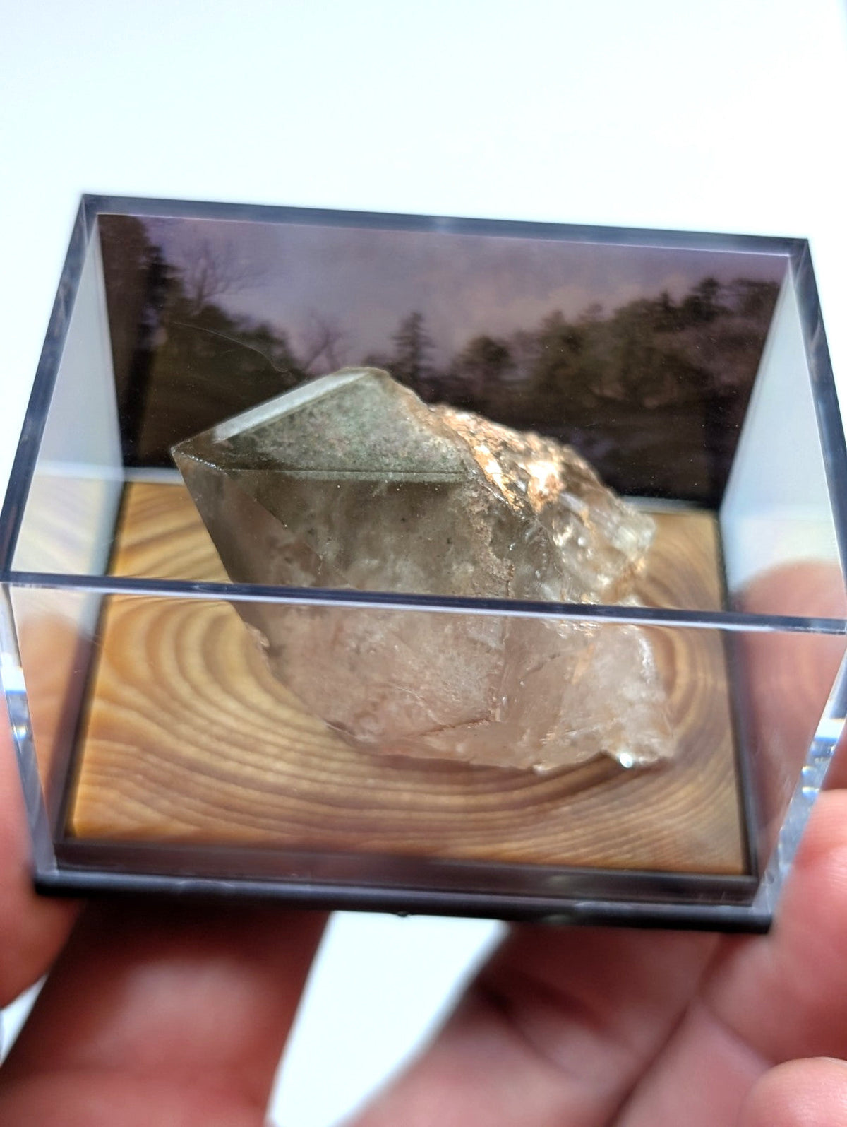 A translucent, faceted quartz crystal with a greenish tint and golden inclusions rests inside a clear acrylic display case.