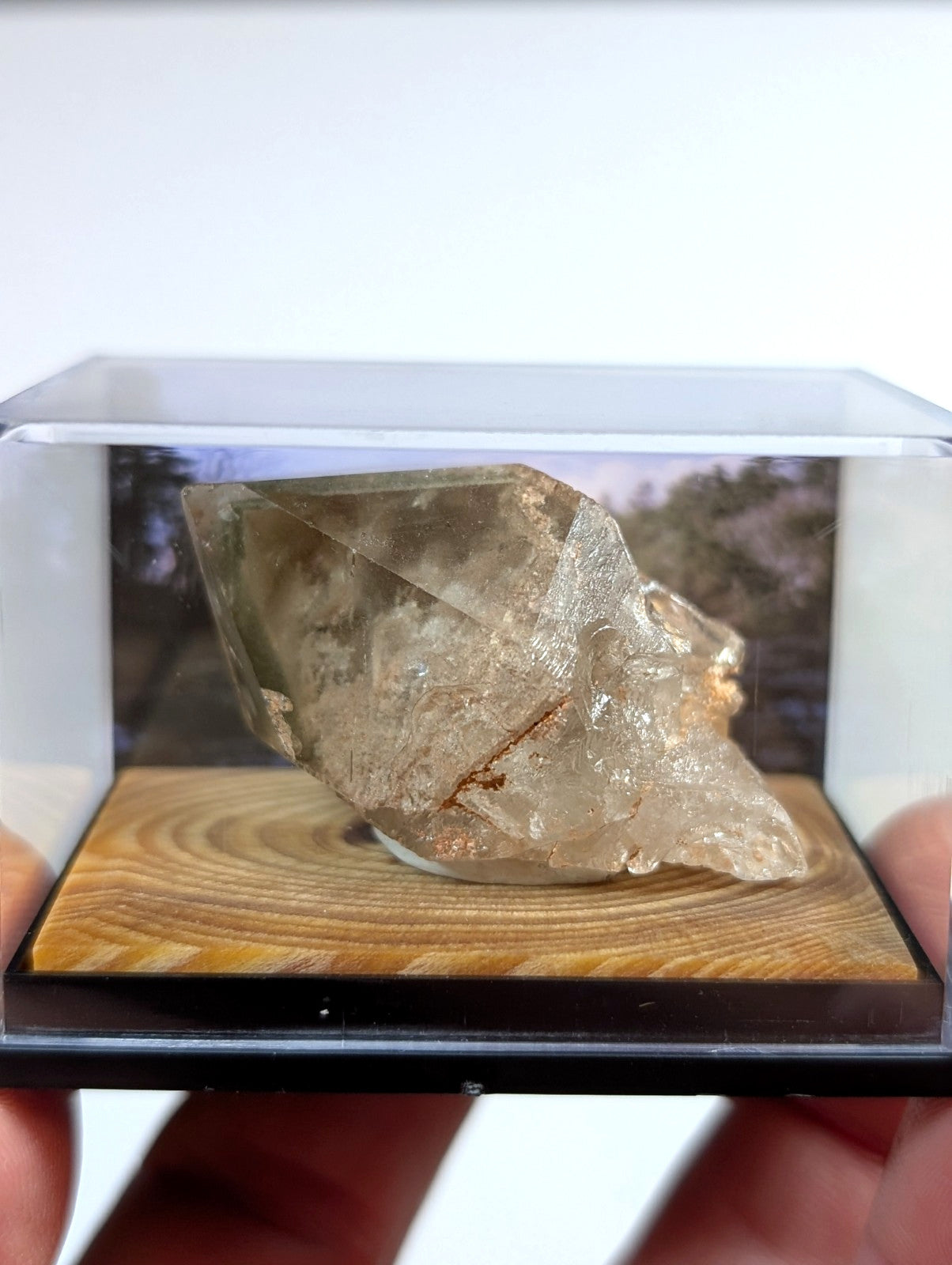 A translucent, amber-hued crystal specimen with visible internal inclusions and a rough, faceted surface rests inside a clear display case.