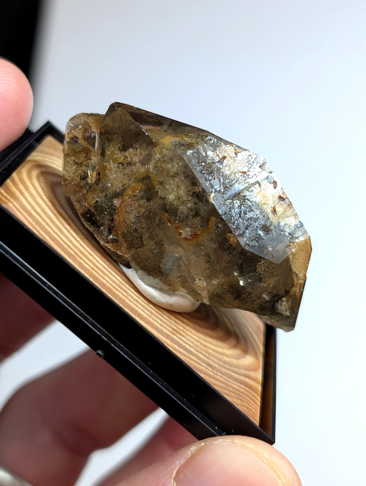 A translucent brown and golden crystal with a metallic sheen, displayed in a black-framed wooden showcase.