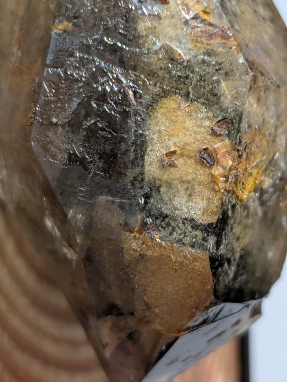 A rough, translucent crystal with a dark gray and golden-yellow mineral inlay.