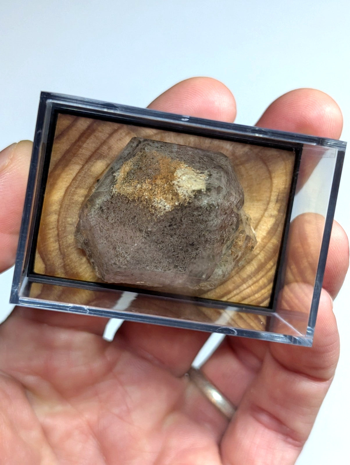A gray, rough-textured mineral specimen with patches of yellowish and white oxidation sits inside a clear acrylic display case.