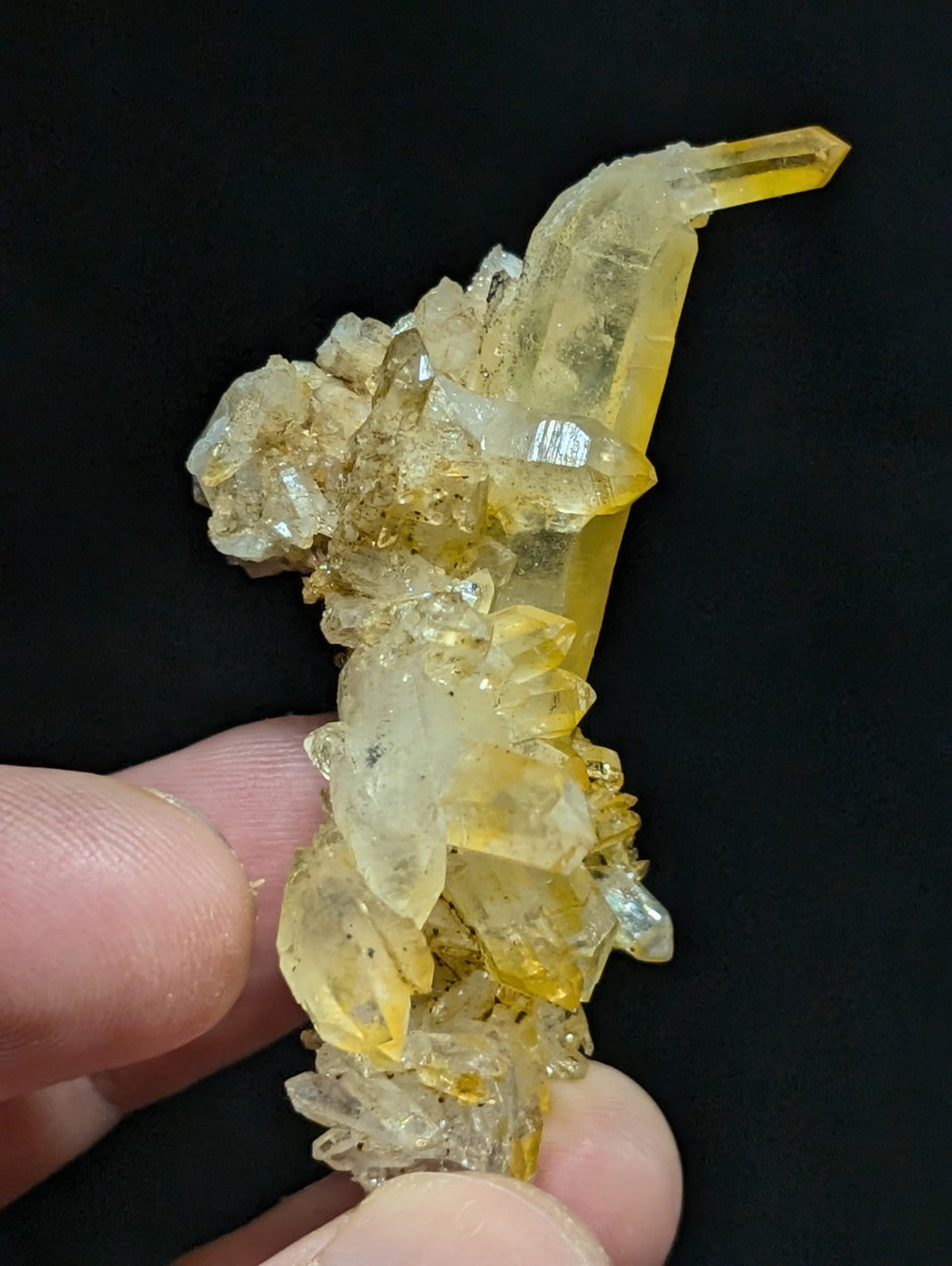 A translucent yellow and clear quartz crystal cluster with a prominent elongated point.