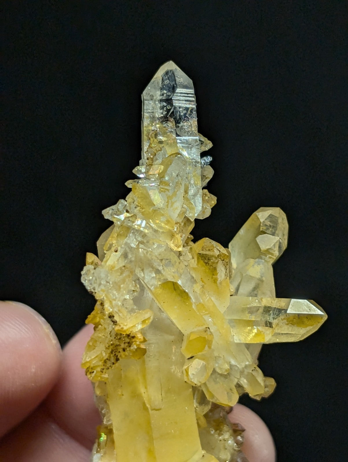 A translucent yellow crystal cluster with sharp, faceted points and a mix of clear and amber-hued formations.