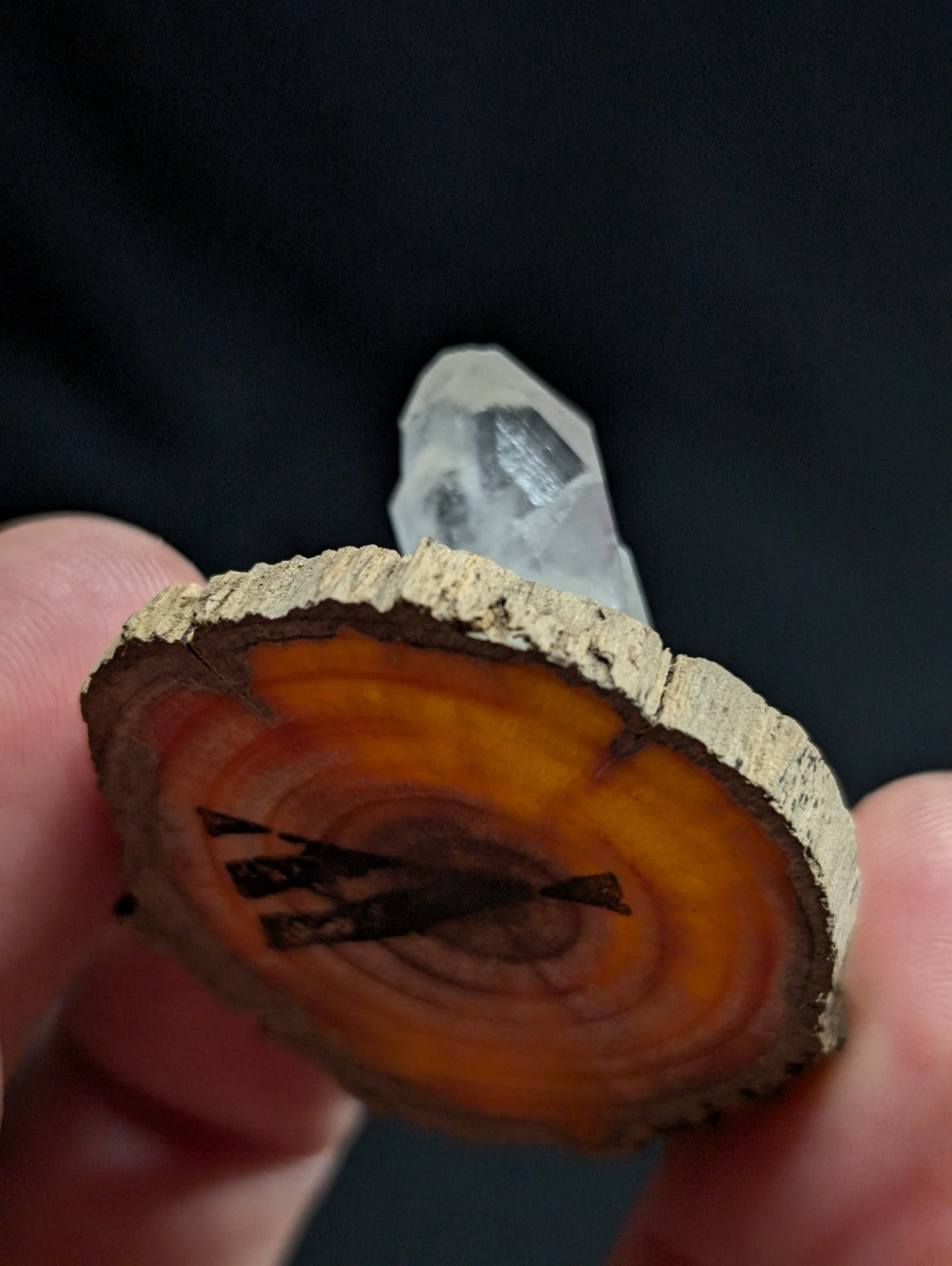 A hand holds a circular slice of orange and brown agate wood with visible growth rings, topped by a clear quartz crystal.