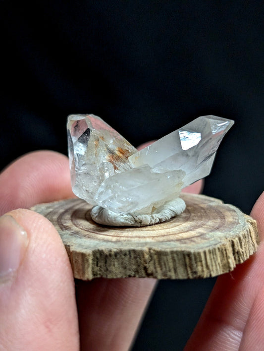 A clear, faceted quartz crystal formation shaped like a bird perched on a rustic wooden slice.