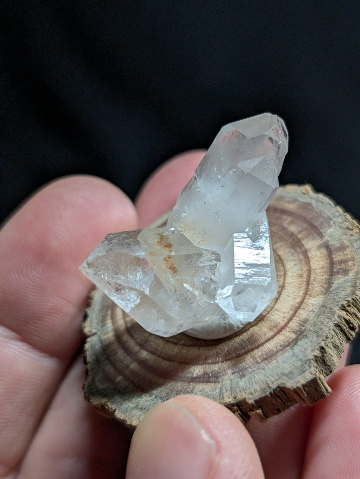 A clear, faceted quartz crystal cluster with subtle internal inclusions rests on a rustic wooden slice.