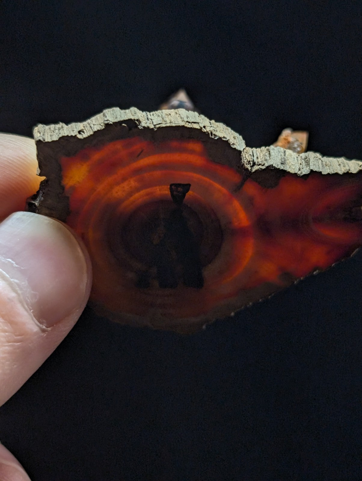 A hand holds a slice of vibrant orange and red agate with concentric rings, showcasing its natural, polished surface against the dark background.
