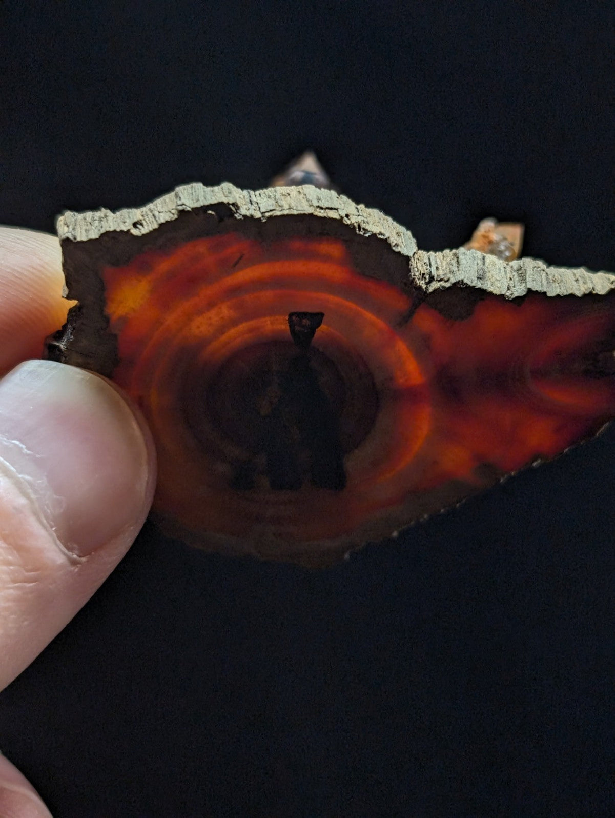 A hand holds a slice of vibrant orange and red agate with concentric rings, showcasing its natural, polished surface against the dark background.