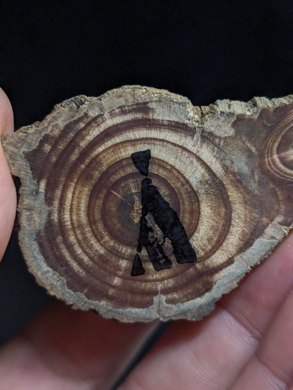 A hand holds a circular cross-section of dark brown wood with visible growth rings, featuring an engraved black silhouette design in the center.