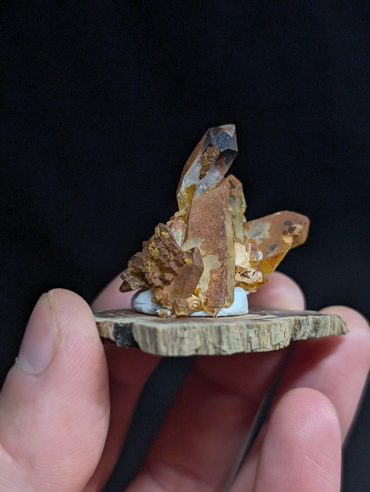 A polished amber and clear quartz crystal cluster mounted on a rustic wooden slice.