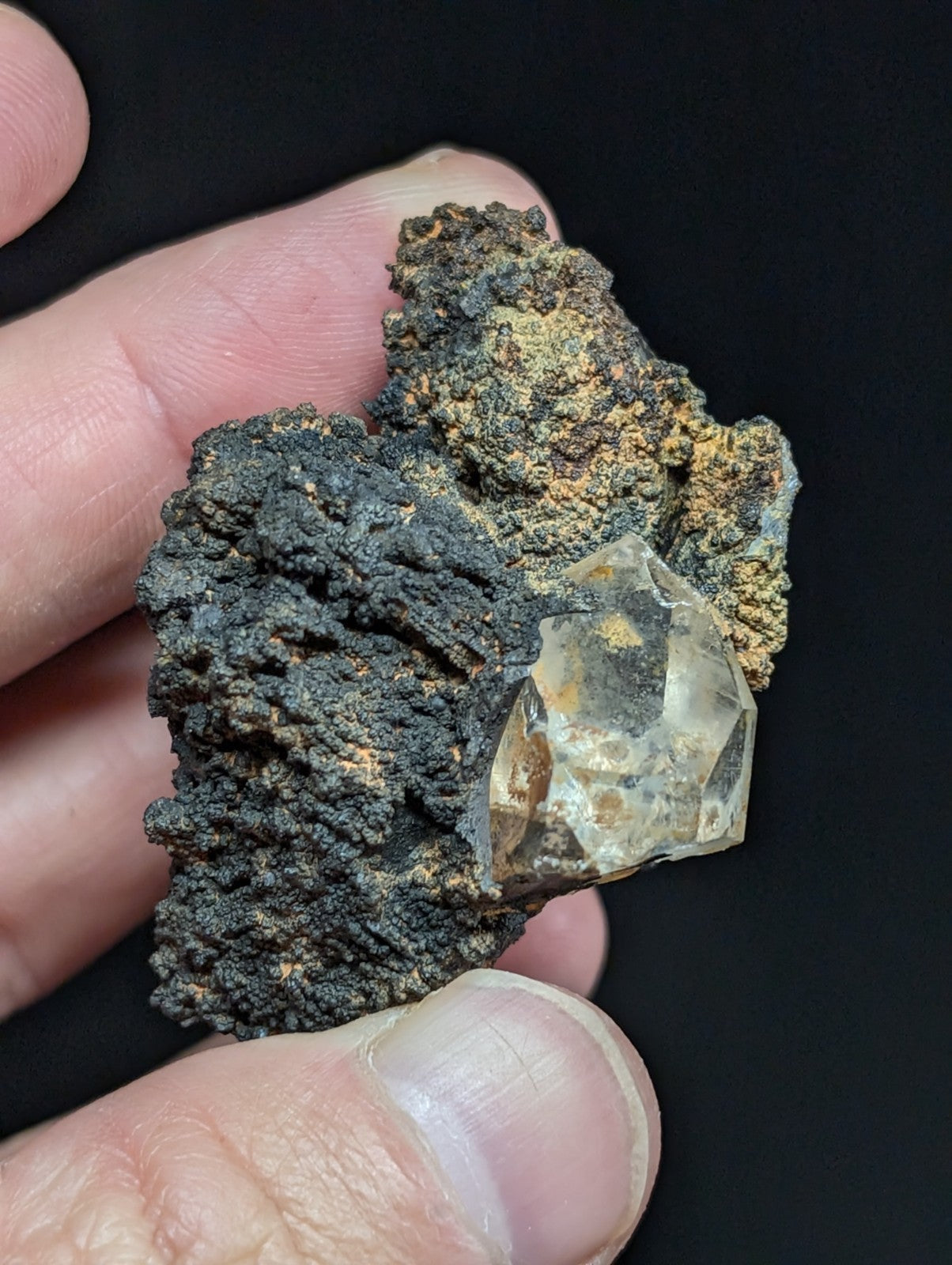 A clear, faceted quartz crystal nestled within a rugged matrix of dark, textured rock.