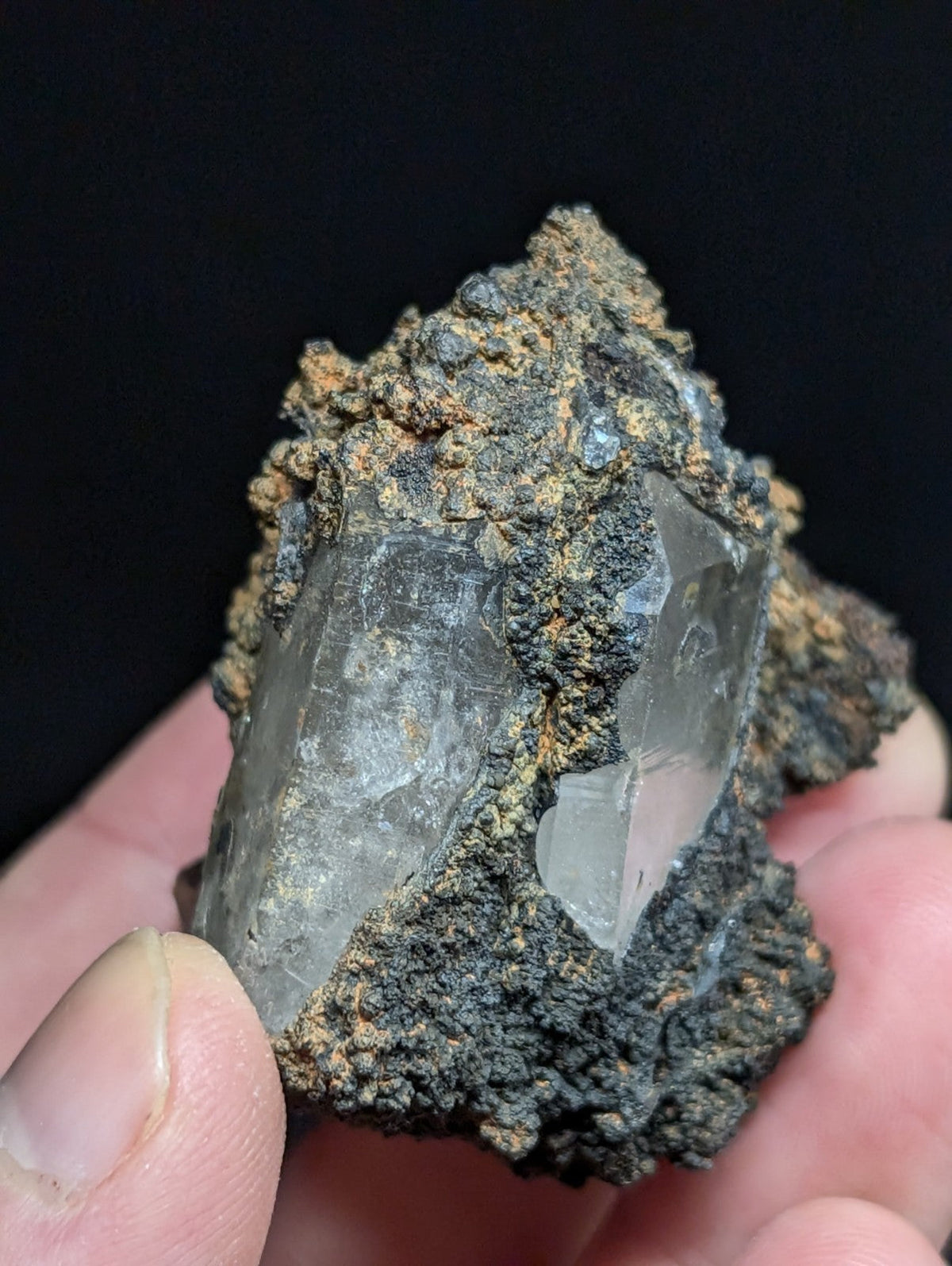 A clear quartz crystal embedded in a dark, earthy matrix.