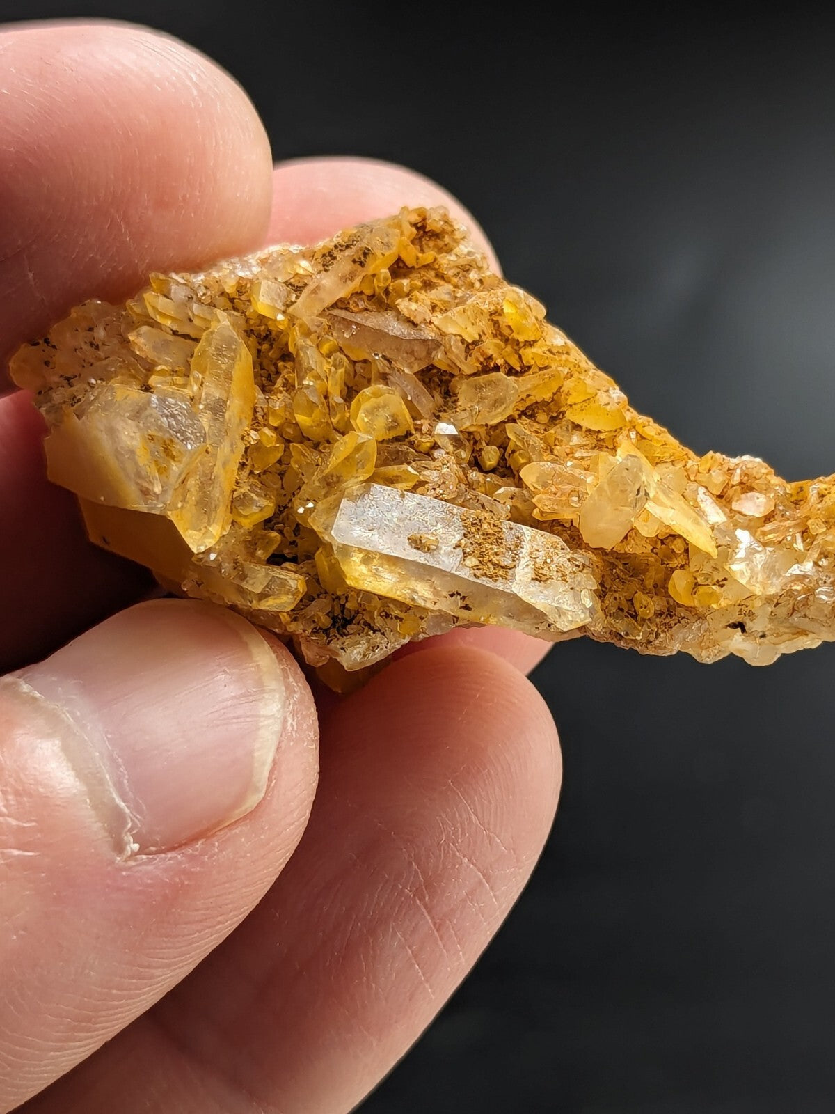 A hand holds a cluster of translucent yellow and clear quartz crystals embedded in a golden-brown matrix.
